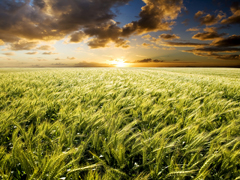 Land use change - the debate goes on!