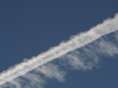 Contrail