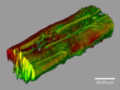 Artificial biofilm