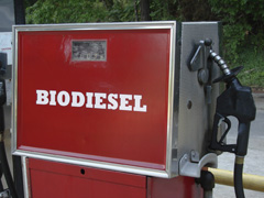 Biodiesel