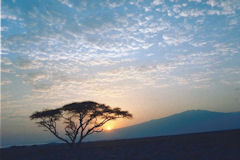 African landscape