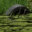 Blooming algae