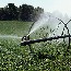 Cellulosic biofuel technology will generate low-cost green fuel 