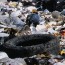Waste not, want not