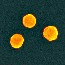 nanoparticles