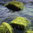 Funding for biofuel production from captured carbon dioxide