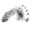 SGS unveils comprehensive global Product Carbon Footprint mark program