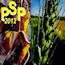 Plant and Seaweed Polysaccharides Symposium