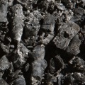 Making sense of lignin