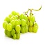 Husker researchers explore ways to repurpose grape waste