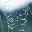 Method assembles cellulose nanofibres into a material stronger than spider silk