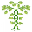 Yield10 Researchers Publish Research in Plant Cell Reports