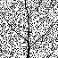Researchers find value in unusual type of plant material