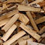 Could wood replace petroleum in chemical industry?