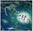 Green chemistry and biofuel: the mechanism of a key photoenzyme decrypted