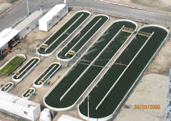 Biofuels