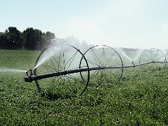 Irrigation