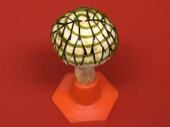 Bionic mushroom