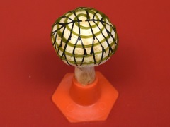 Bionic mushroom