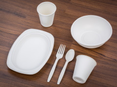 Bioplastic dining set