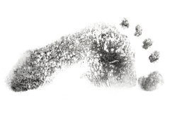 The Product Carbon Footbrint program marks products as one of three levels