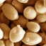 What’s in it for yeast?