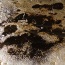 Oil, ash and microbes