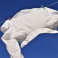 Hung out to dry